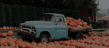 Colour Palette - October 2020