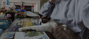 Monthly Wrap-Up: April 2024