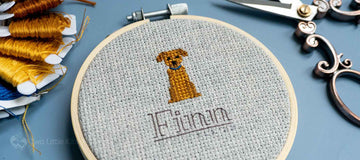 A Stitch in Time: Remembering Finn
