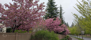 Monthly Wrap-Up: April 2025
