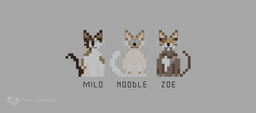 Your Story in Stitches: Why a Custom Cross-Stitch Pattern is Worth It
