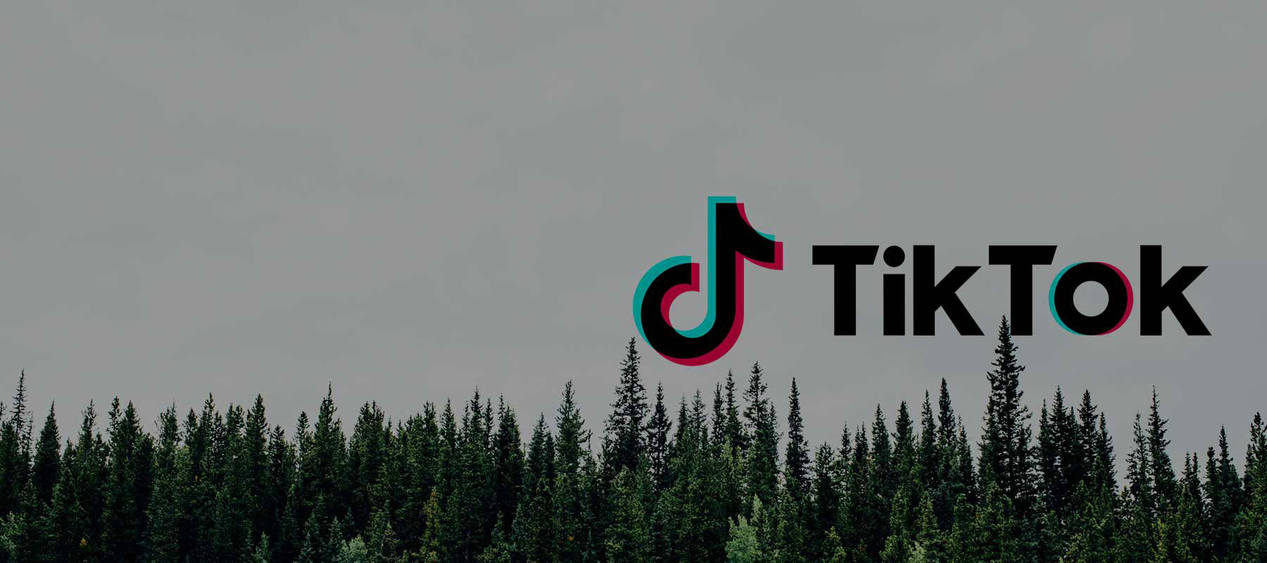 I'm now on TikTok! Because it's hip to be cool, right?