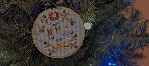 Monthly Wrap-Up: December 2024