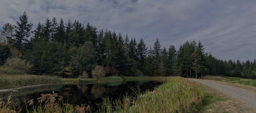 Monthly Wrap-Up: September 2025