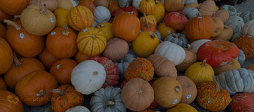 Monthly Wrap-Up: October 2025