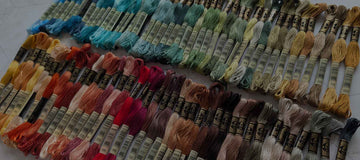 Monthly Wrap-Up: November 2025