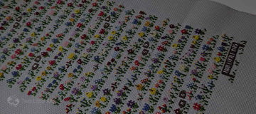 Monthly Wrap-Up: December 2025