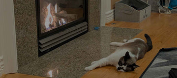 Monthly Wrap-Up: January 2026